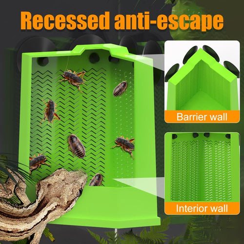 Bearded Dragon Feeder Corner Reptile Feeder Box Wall-Mounted Terrarium Feeder With Suction Cups For Lizard Iguana Gecko Bearded Dragon
