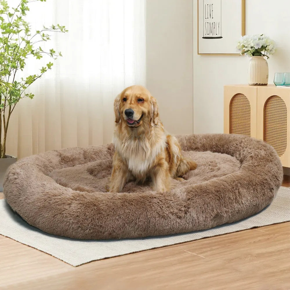 Large Dog Bed 67x43x8 Inches - Super Soft, Machine Washable & Portable With Handles, Non-Slip Bottom For Safety
