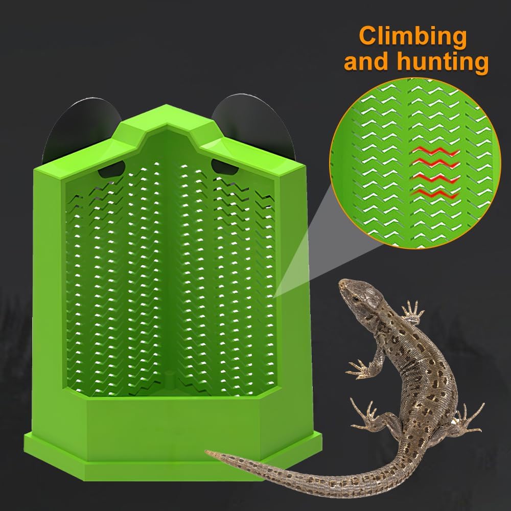 Bearded Dragon Feeder Corner Reptile Feeder Box Wall-Mounted Terrarium Feeder With Suction Cups For Lizard Iguana Gecko Bearded Dragon