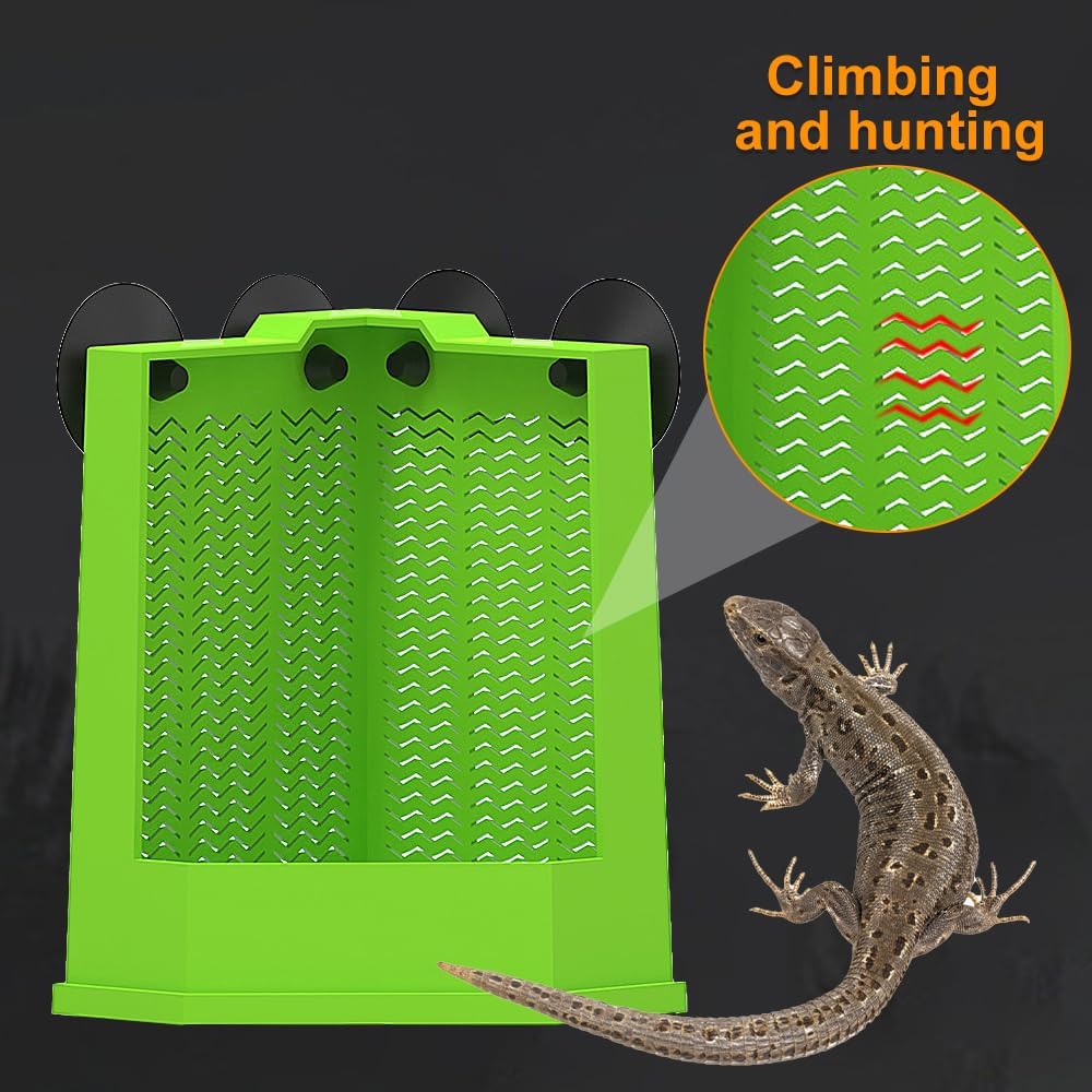 Bearded Dragon Feeder Corner Reptile Feeder Box Wall-Mounted Terrarium Feeder With Suction Cups For Lizard Iguana Gecko Bearded Dragon